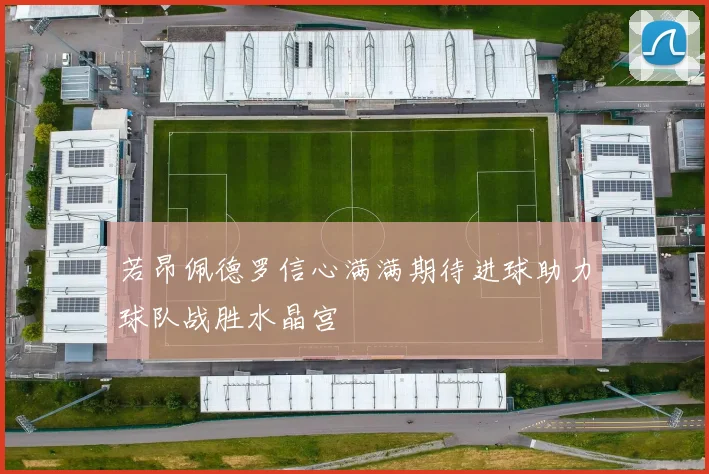 若昂佩德罗信心满满期待进球助力球队战胜水晶宫