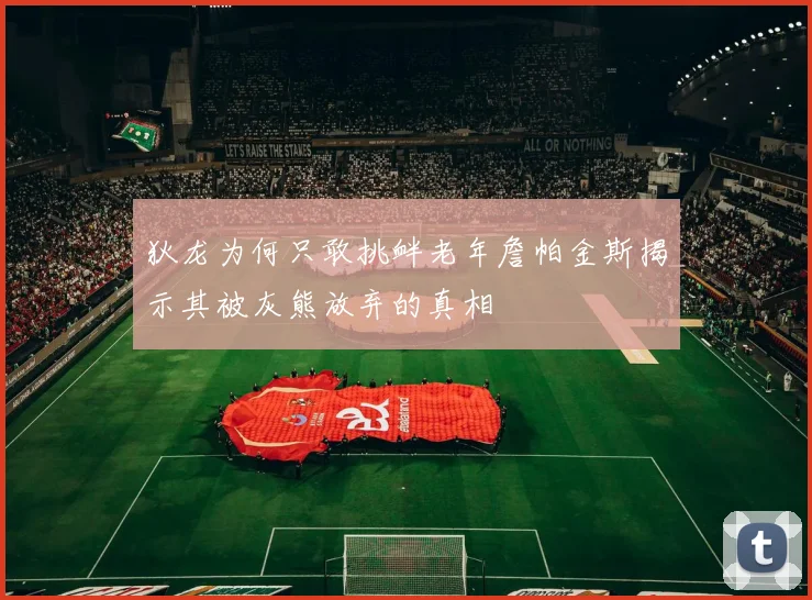 狄龙为何只敢挑衅老年詹帕金斯揭示其被灰熊放弃的真相